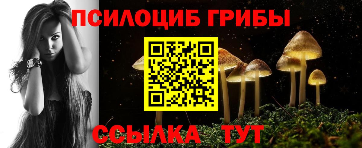 Коммунар  Псилоцибиновые грибы мицелий  Псилоцибиновые грибы прущие грибы  Вход с VPN 